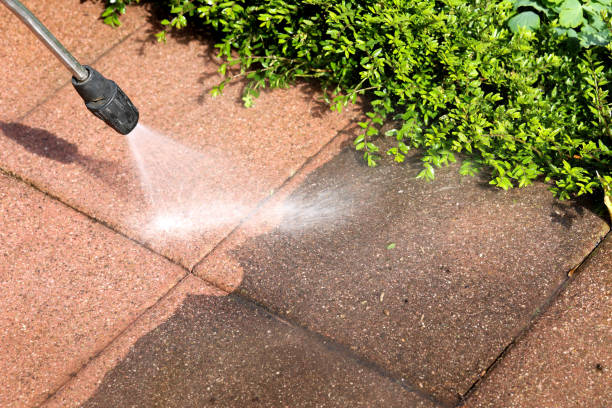 Best Fleet & Vehicle Pressure Washing in Amboy, WA